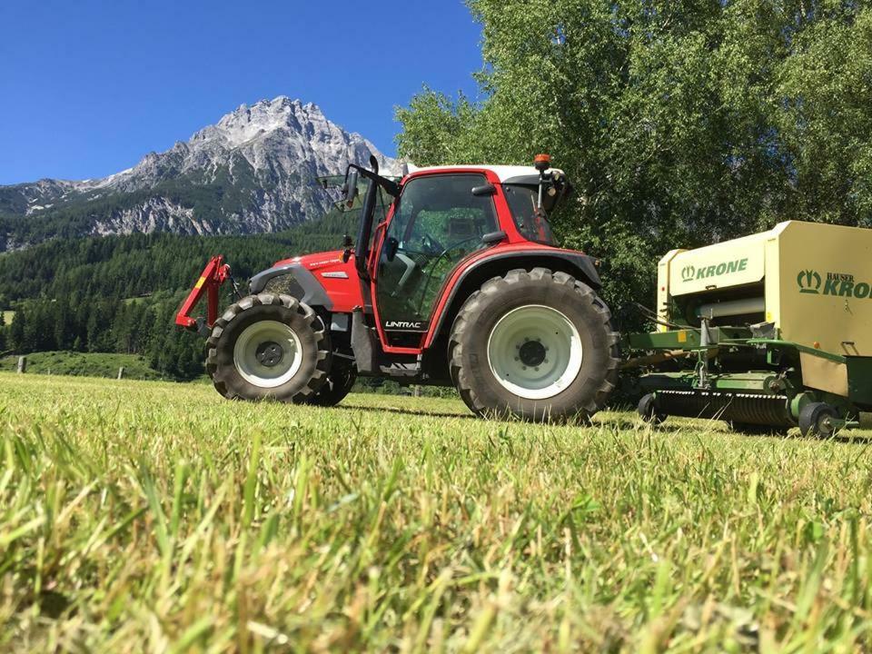 Familienbauernhof - Leogang Apartments Weissbacher Dış mekan fotoğraf