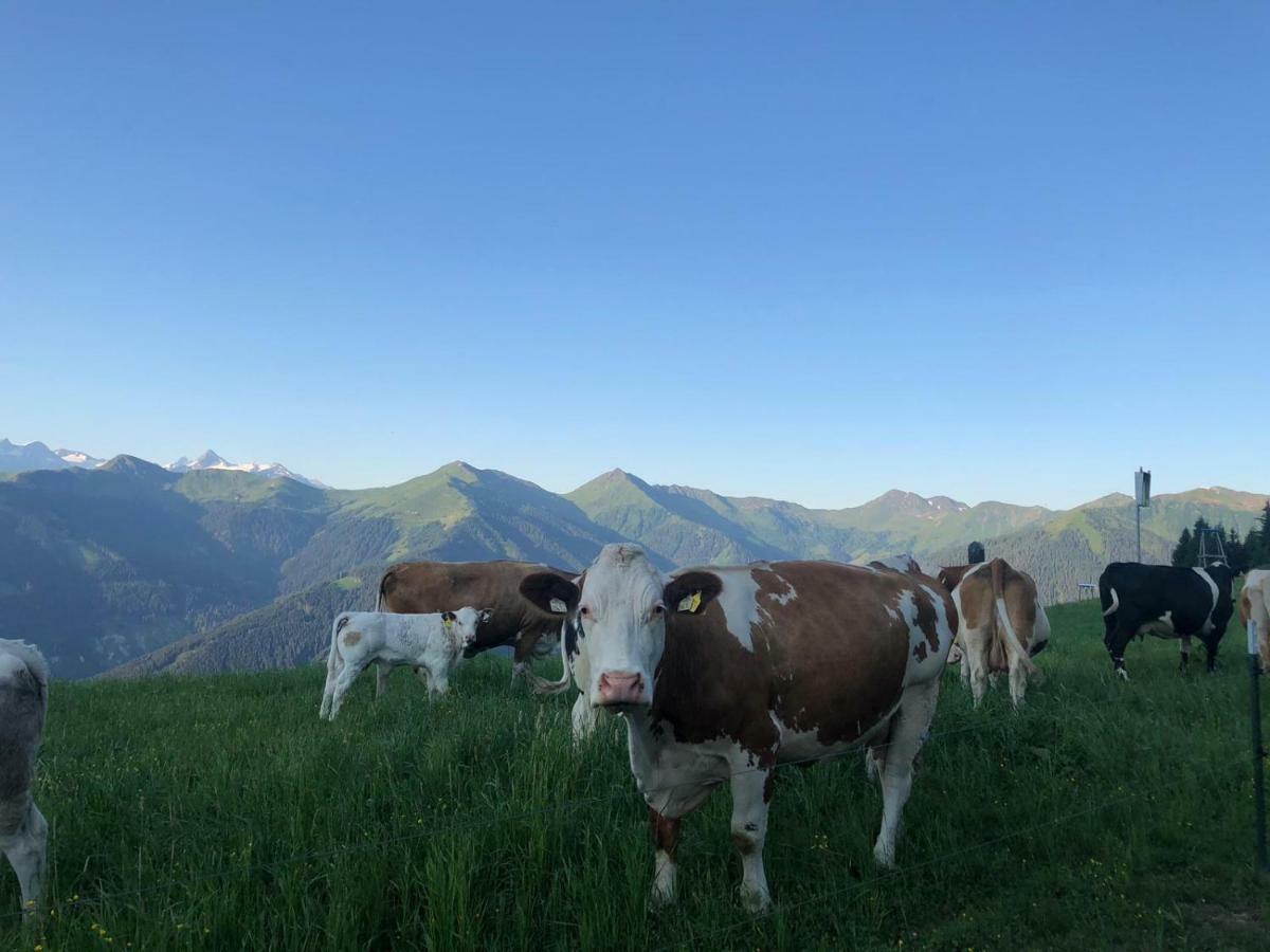 Familienbauernhof - Leogang Apartments Weissbacher Dış mekan fotoğraf